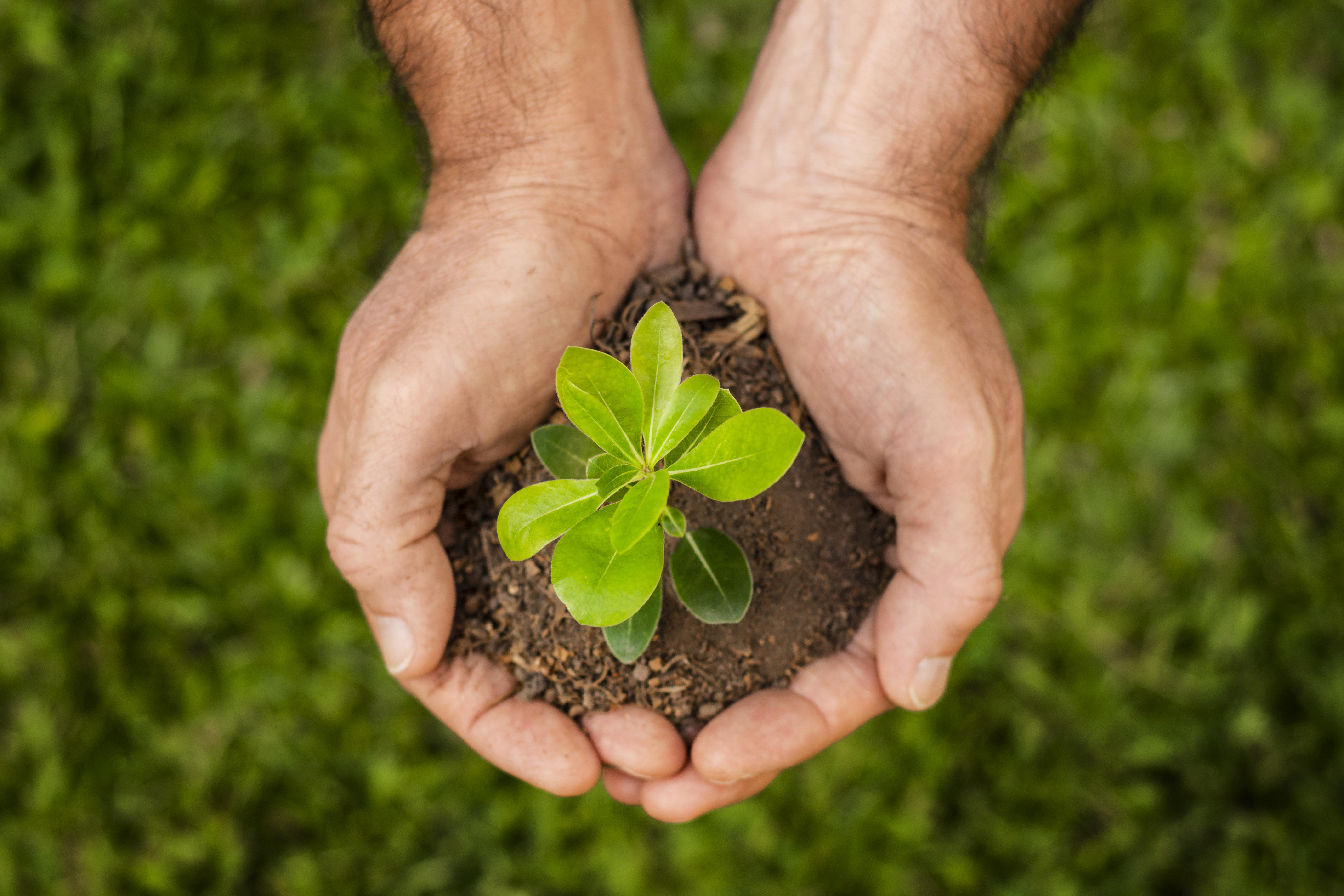 Procedimientos Gestión Ambiental